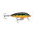 Señuelo Rapala Original Floating F03 3cm 2grs Ultralight - Xplora La Triestina