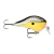 Señuelo Rapala Dt Fat 1 Crank Tararira Baitcasting Spinning en internet