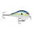 Señuelo Rapala Dt Fat 1 Crank Tararira Baitcasting Spinning - comprar online