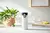 Vaso Termico Acero Inoxidable Contigo Westloop 473ml