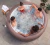 Jacuzzi Inflable Bestway Lay Z Spa Hawaii Smart 916lts - comprar online