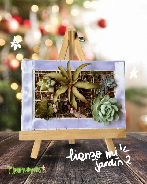 Terrario - Lienzo mi Jardín 2