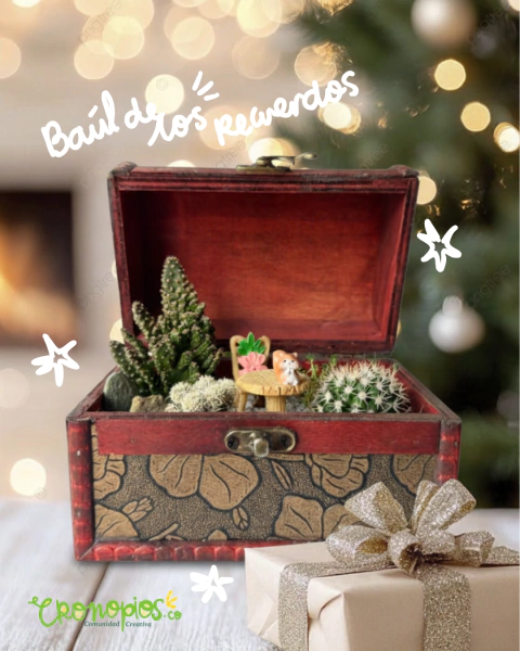 Terrario Baúl de los Recuerdos - comprar en línea