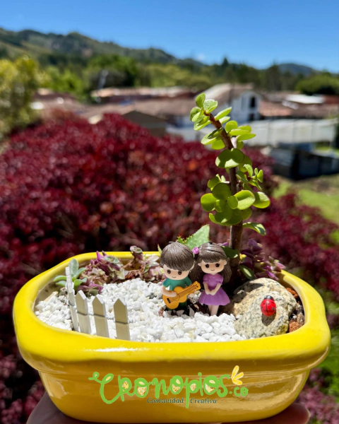 Terrario "Canción de verano" - comprar en línea