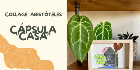 Carrusel 1