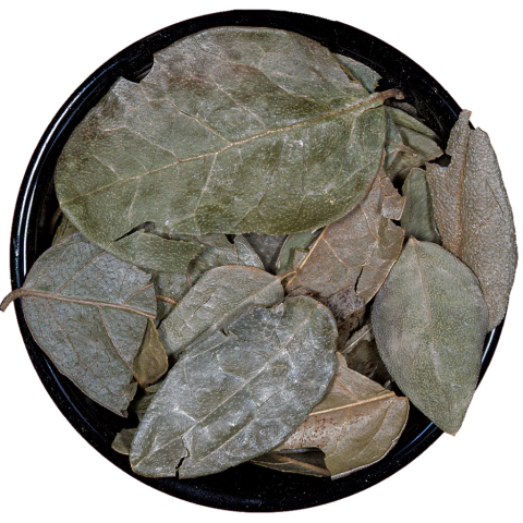 Boldo hoja - comprar online