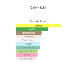 Ck One Eau de Toilette - Calvin Klein (DECANT) na internet