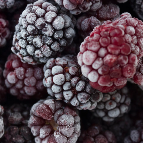 Fruta de Amora preta congelada 1kg - comprar online