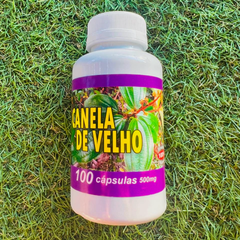 100 Cápsulas de Canela de Velho 500mg - comprar online