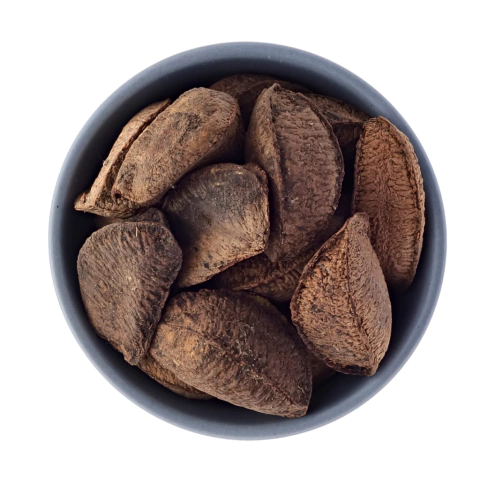 Castanha do pará com casca 100g - comprar online