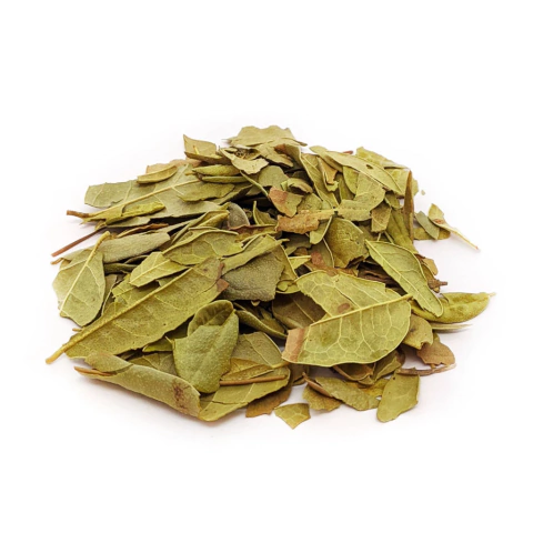 Chá de boldo importado 100g - comprar online