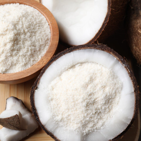 Farinha de coco 100g - comprar online