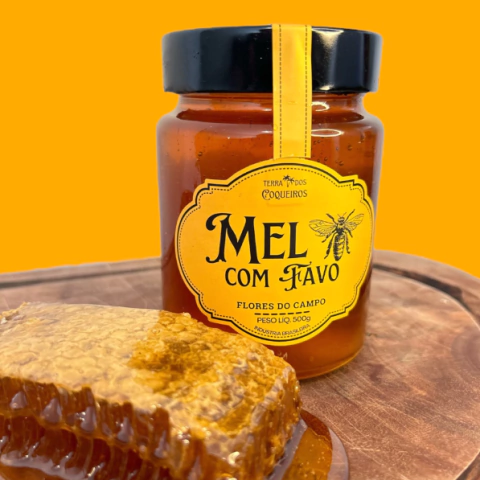 Mel com Favo Terra dos Coqueiros 500g - comprar online