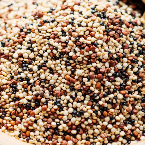 Mix de quinoa 100g - comprar online