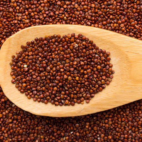 Quinoa em grão vermelha 100g - comprar online