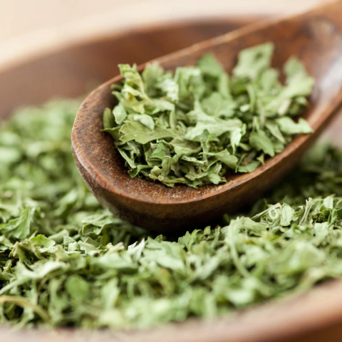 Salsa desidratada 100g - comprar online