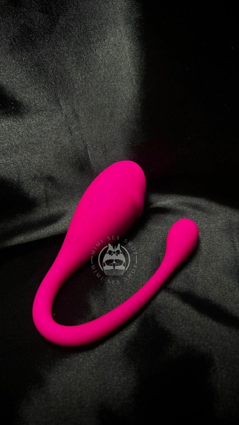 Vibrador Feminino via aplicativo recarregável