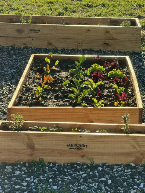 Huerta Michigan - comprar online