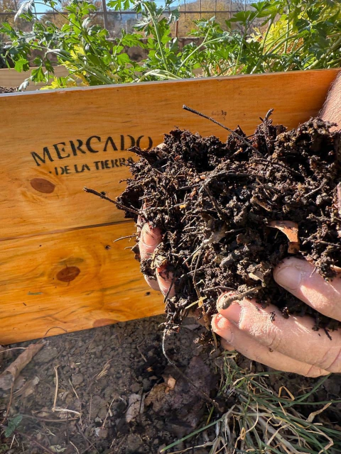 Bolsa sustrato PRO súper abono - comprar online