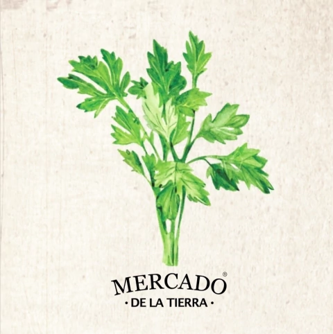 Semilla de Perejil - comprar online