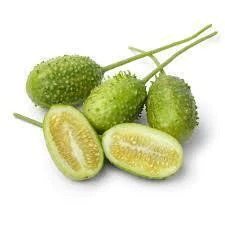 Semilla de Indian Cucumber (pepino de la india) - comprar online