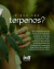 Lubrificante CB2 efeito Cannabis (feito com terpenos amazônicos) - Elo Íntimo