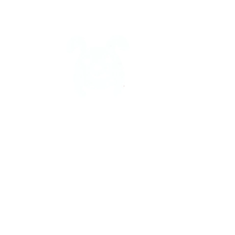 RuFi Wow