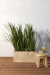 Set Dietes en jardinera rotomoldeado - Faitful