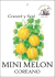 Melon Mini Coreano - comprar online