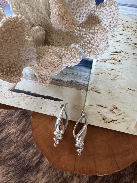 Brinco Caramujo Vazado - Prateado - comprar online