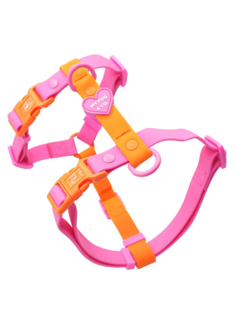 Arnes Waterproof Rosa