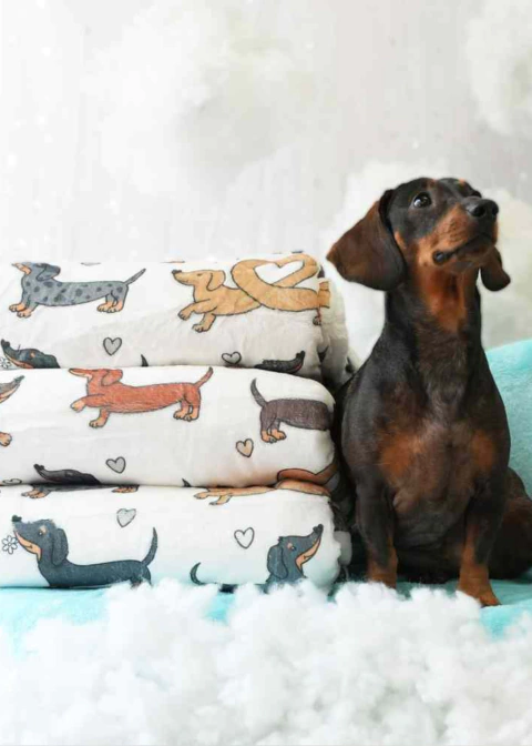 Salchi Manta - comprar online