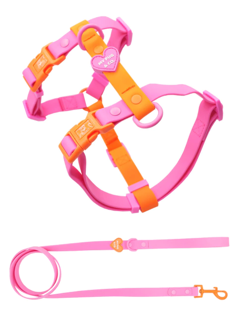 Arnes Waterproof Rosa - COMBO - comprar online