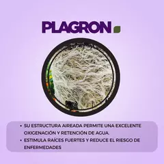 Cocos B Plagron Fertilizante Base Hidroponia 1lt - Morocco Growshop