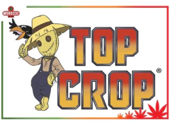 Combo Completo Top Crop - Morocco Growshop