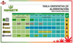 Oro Negro 100 Ml - Morocco Growshop - Morocco Growshop