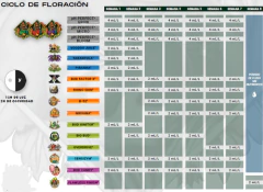 B-52 Advanced Nutrients Fertilizante 500ml Original Sellado en internet