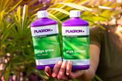 Plagron Alga Grow 250ml en internet