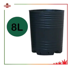 Maceta Soplada 8 Ltos - Morocco Growshops en internet
