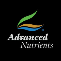 Big Bud + Bud Candy + Rhino Sk 500 Ml. / Advanced Nutrients. - tienda online