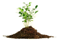 Landiner Sustrato Full Grow 25 L Micorrizas Y Trichoderma - tienda online