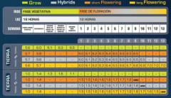 Powder Feeding Long Flowering 50 Gr. / Green House. - comprar online