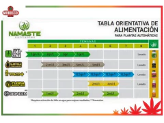 Combo Namaste Amazonia-oro Negro - Morocco Growshop