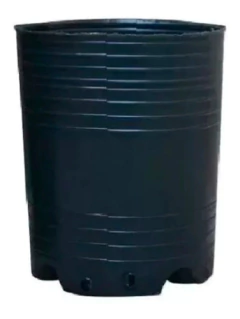 Maceta Soplada 2u X 10ltos. - Morocco Growshops - comprar online