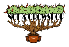 Biobizz Grow Bloom Fishmix Fertilizantes Combo 250ml - comprar online