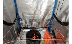 Red Scrog Ideal Indoor 100x100 - Morocco Growshops en internet