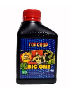 Top Crop Big One 250ml Bioestimulante Floración - Morocco
