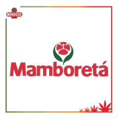 Mamboreta Confi Mosca Blanca / Conchilla Pulgon + Aba 30cc - Morocco Growshop