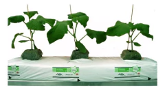 Fibra De Coco Jiffy Rinde 50 Litros Easy Fill Bag Bloque - comprar online