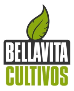 Carpa De Cultivo Eco Line 100x100x200cm / Bellavita - Morocco Growshop